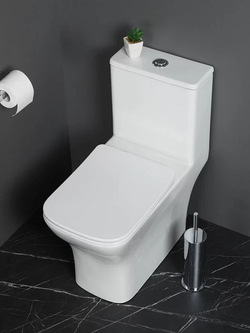 Фото Унитаз моноблок BelBagno Neon BB8617CPR-MN/SC безободковый купить в Орехово-Зуево: цена, описание, фото. Интернет-магазин 1
