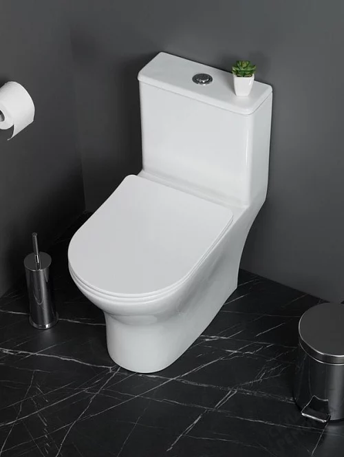Фото Унитаз моноблок BelBagno Lounge BB8618CPR-MN/SC безободковый купить в Орехово-Зуево: цена, описание, фото. Интернет-магазин 1
