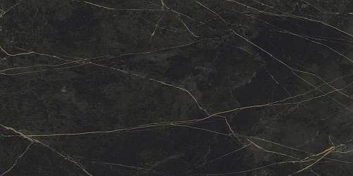 Фото Керамогранит лаппатированный Идальго Сандра черно-оливковый 1200*600*11 – купить в Орехово-Зуево: цена, описание, фото. Интернет-магазин 4